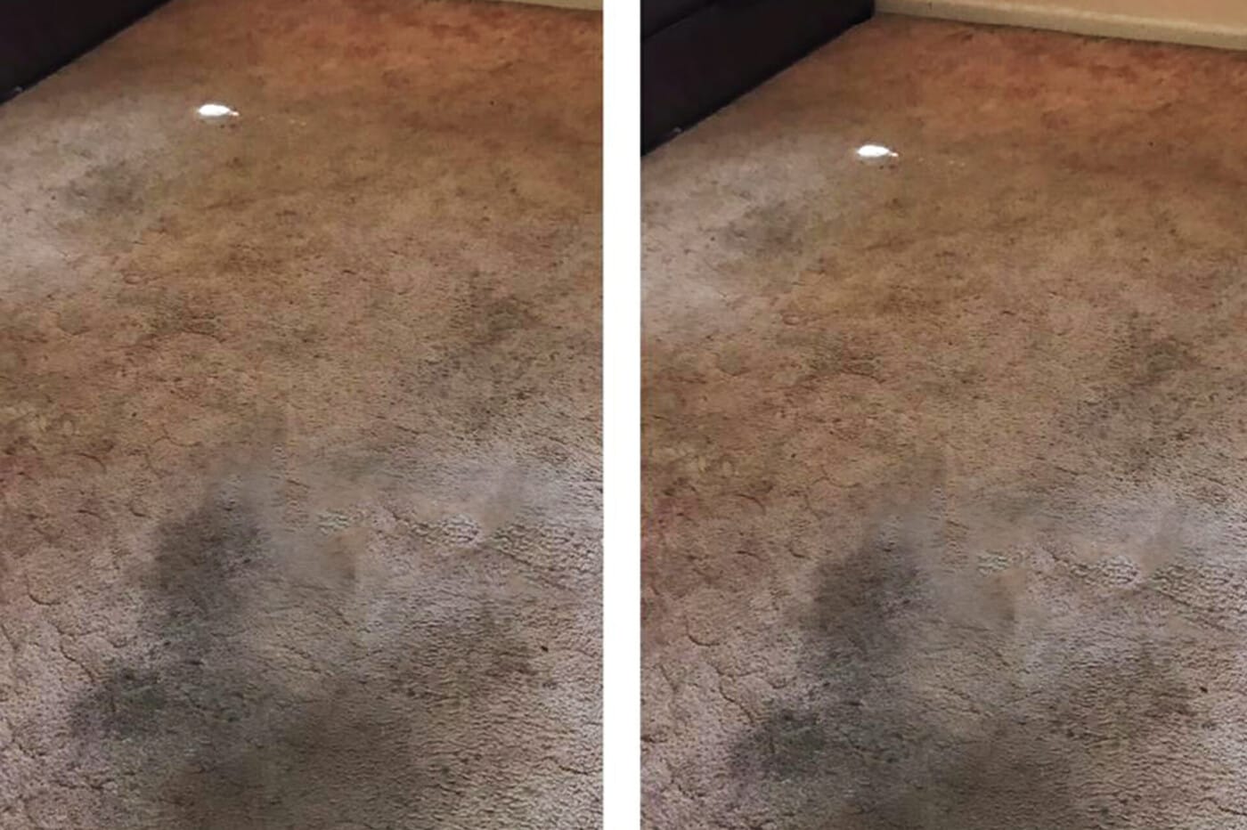 before carpet cleaning sydney
