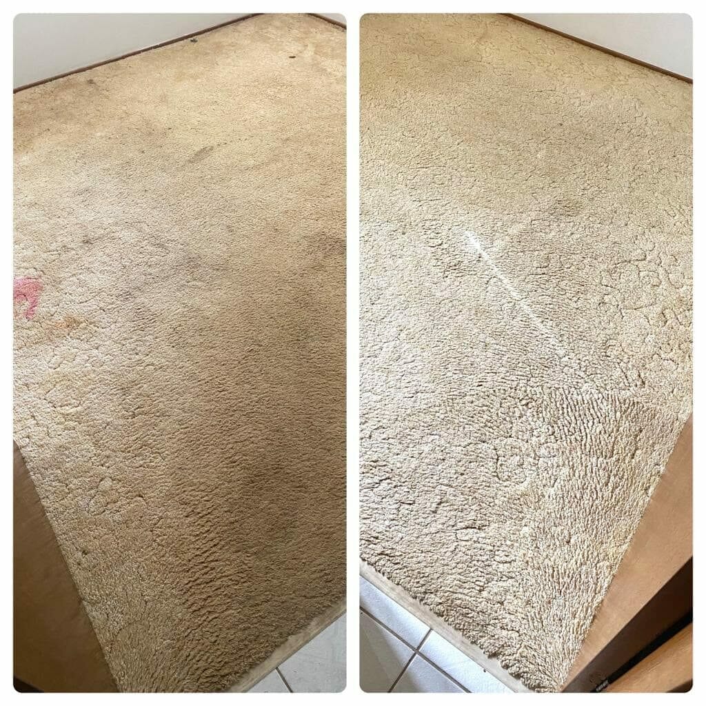 before-after carpet cleaning