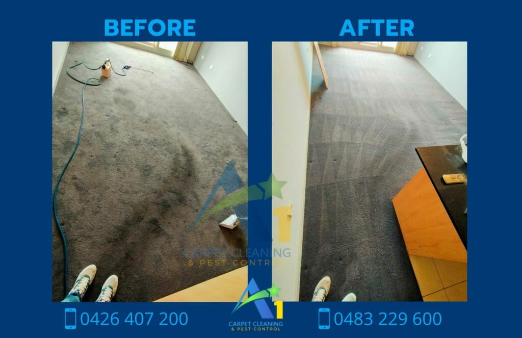 Carpet Cleaning done by a1 carpet cleaning castle hill