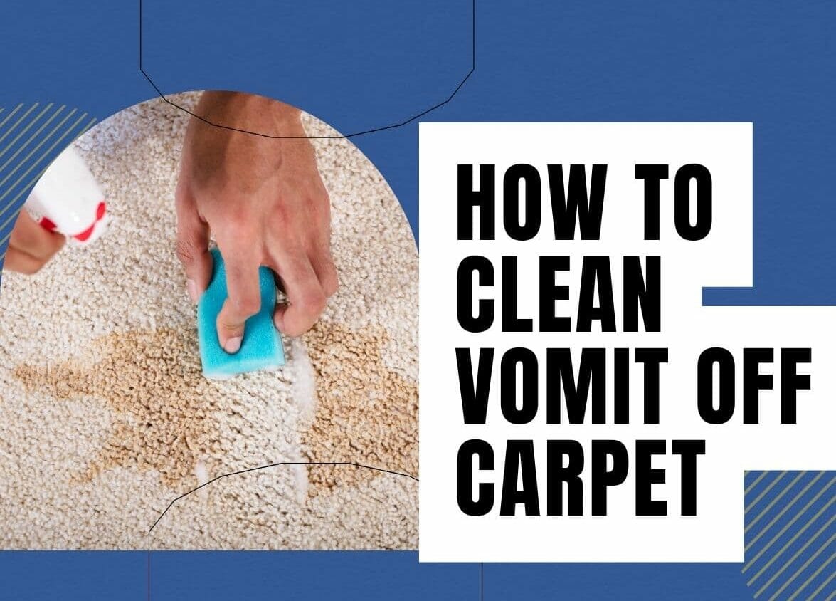 How To Clean Vomit Off Carpet