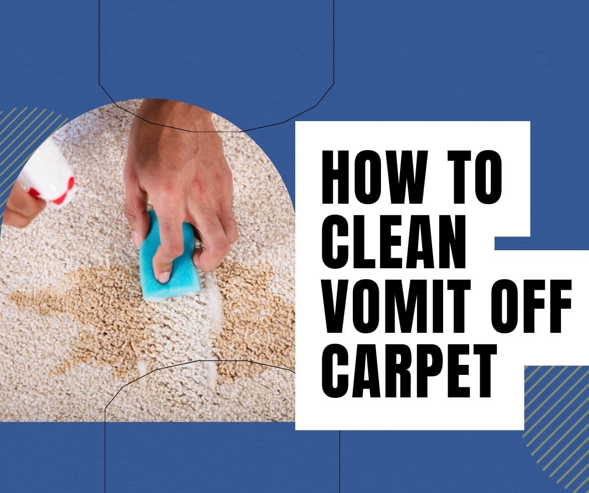 How To Clean Vomit Off Carpet